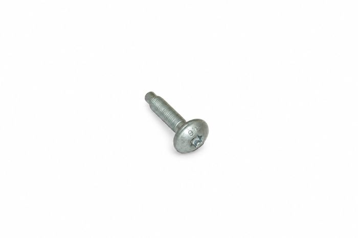 Originele inbusbout (M6X28)
