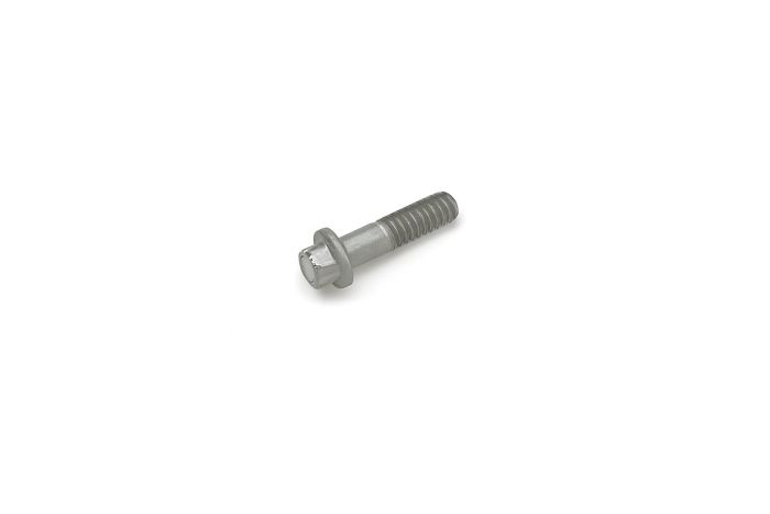 Originele cilinderkopbout met inwendige torx stuuras stuurhuis (M8X30)