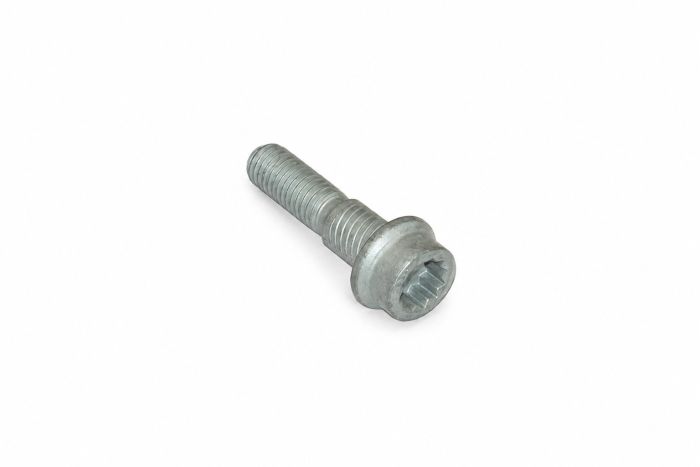 Originele pasbout met poly-inbuskop (M10X1,5X40)