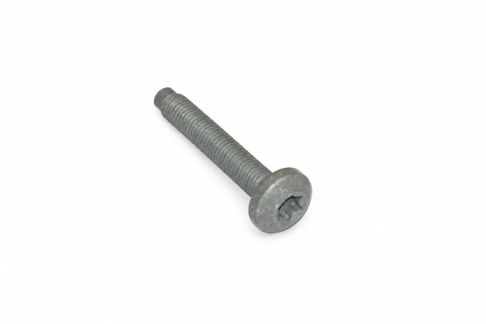 Originele inbusbout met platte kop (M9X55)