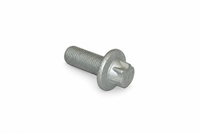 Originele zeskantbout (M10X1X25)
