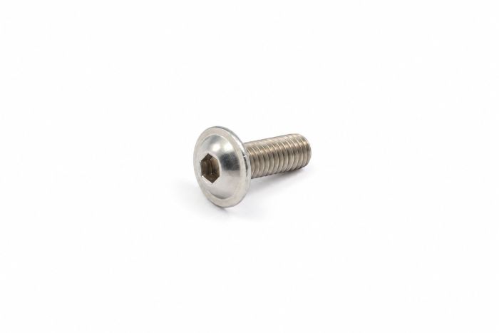 Originele zelfborgende bout met inbusbout (M6X16)