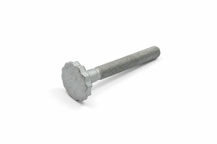 Originele twaalfkantbout (M12X1,5X100)