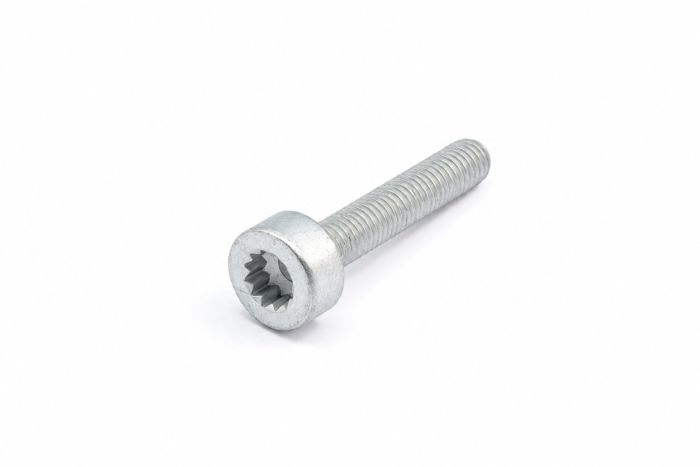 Originele poly-inbusbout (M8X45)