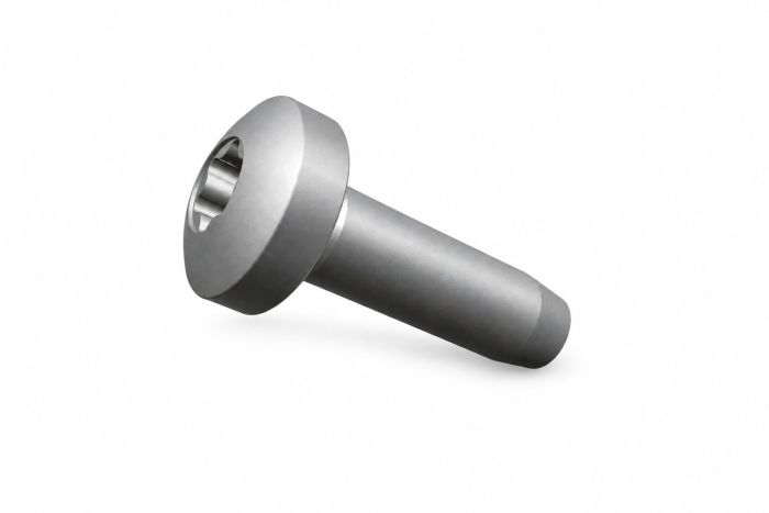 Originele platkopschroef met inbus, zelftappend (M6X20)