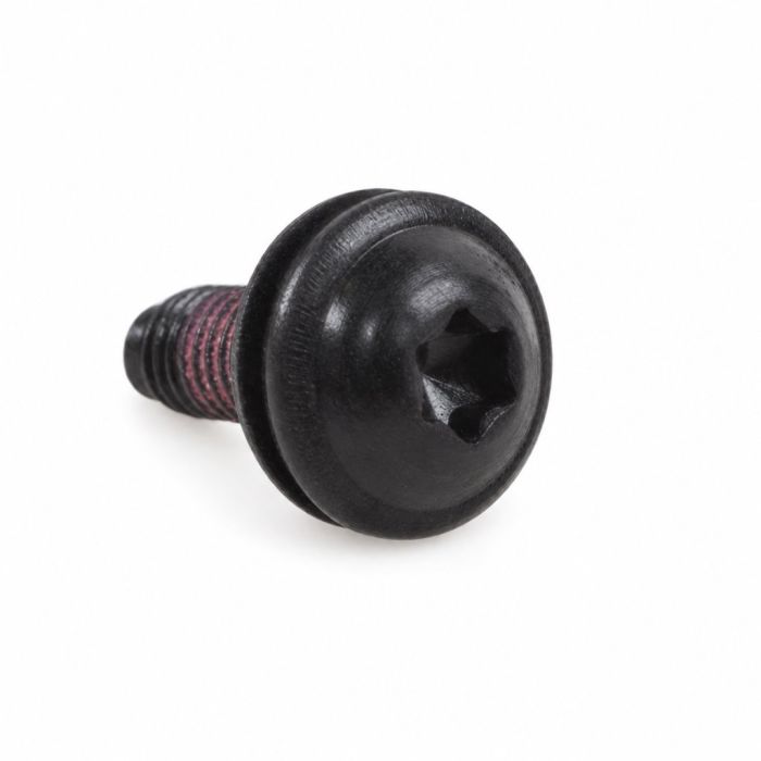 Originele inbusbout (M5X15)