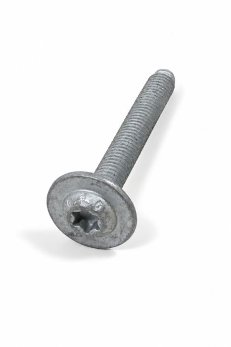 Originele flensbout met inwendige torx (M6X45)