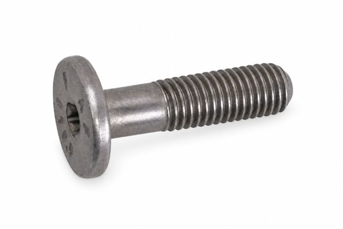 Originele inbusbout (M8X29)