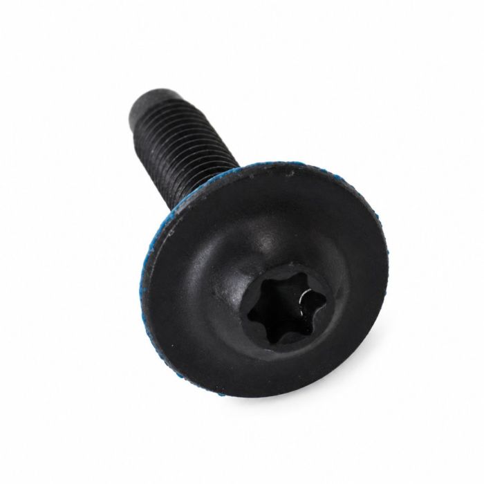 Originele flensbout met inwendige torx (M5X25)