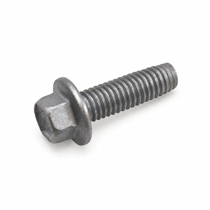 Originele zeskantbout (M8X25)