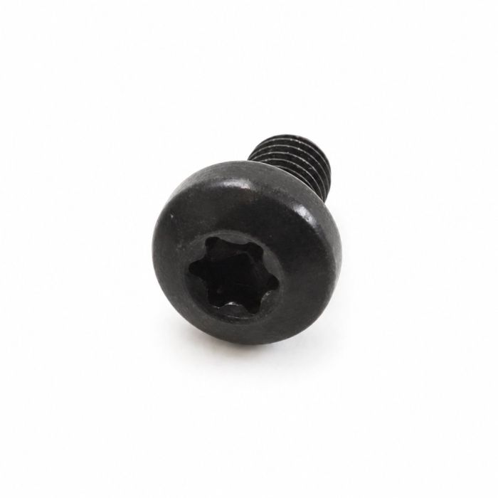 Originele inbusbout (M6X10)