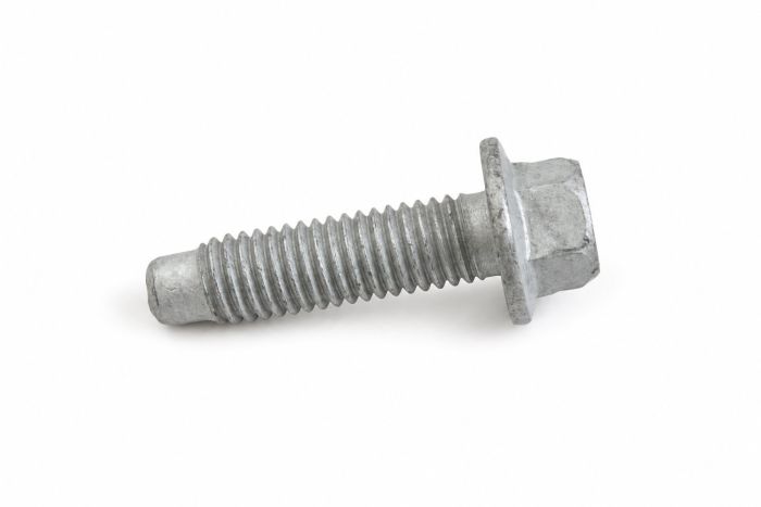 Originele zeskantbout (M8X25)