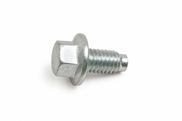 Originele zeskantbout (M6X10)