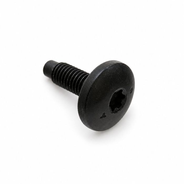 Originele poly-inbusflensbout (M8X20)