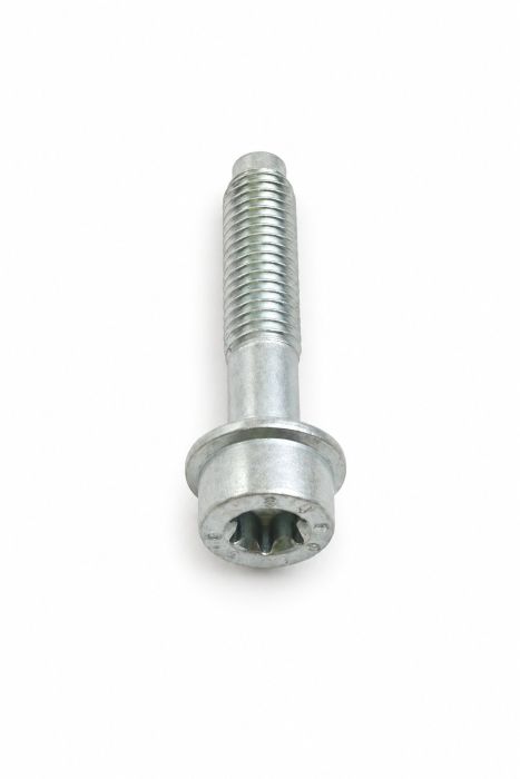 Originele inbusbout (M8X37)
