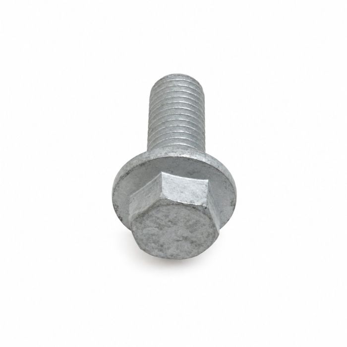 Originele zeskantbout (M10X25)