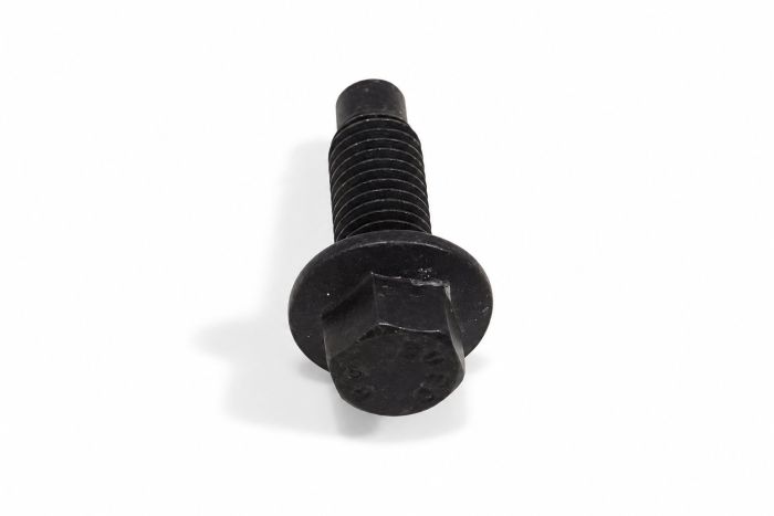 Originele zeskantbout -W500223-S450B