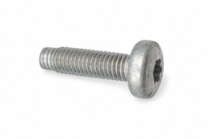 Originele zeskantbout (M8X25)