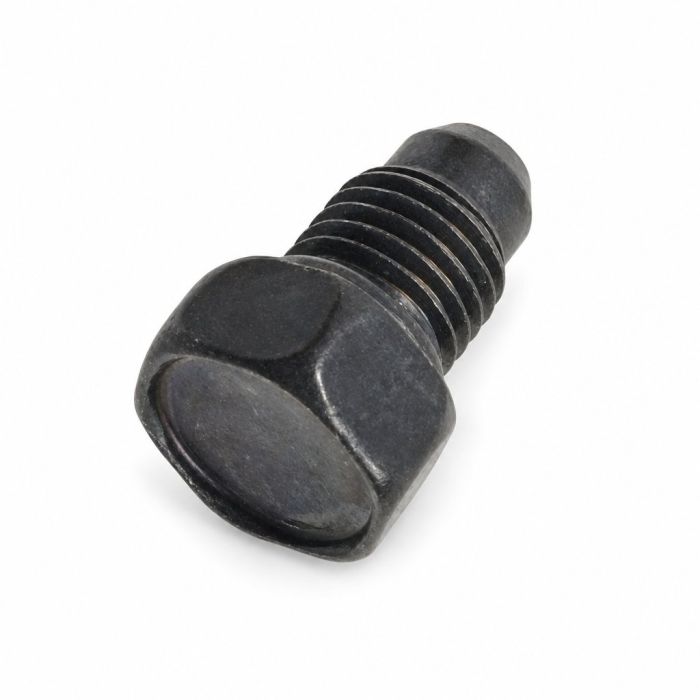Originele sluitschroef (M10X15.4)
