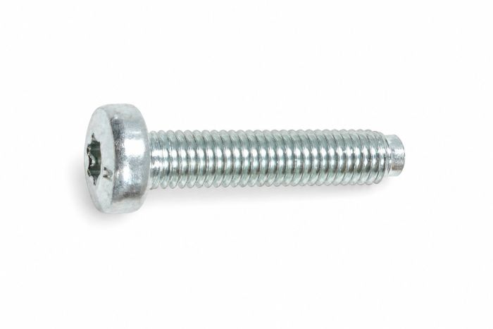 Originele inbusbout (M6X22)