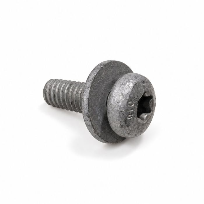 Originele combibout W713679-S442 (M6X16)