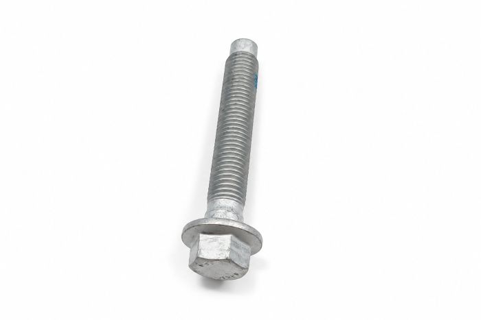 Originele zeskantbout met kraag (M16X95)