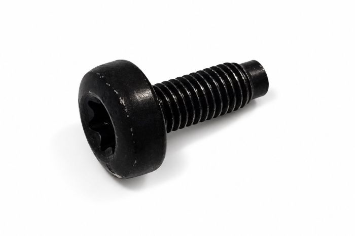 Originele inbusbout (M8X19)