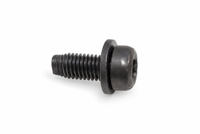Originele flensbout met inwendige torx (M6X14)