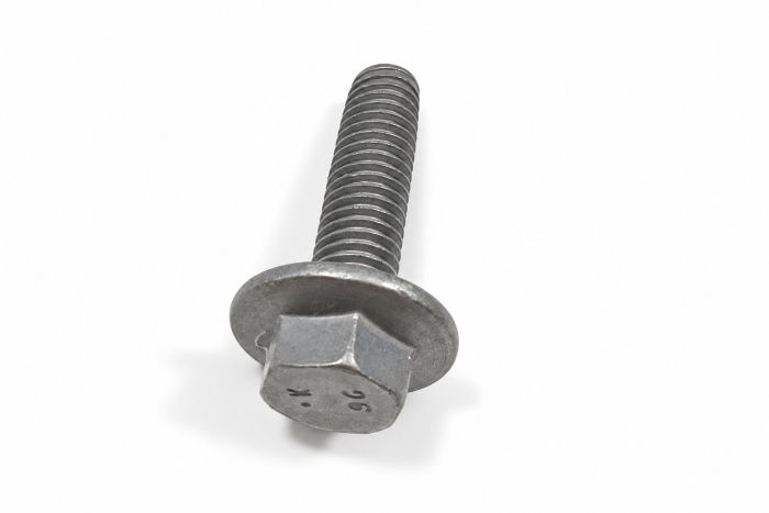 Originele zeskantflensbout W719665-S450L