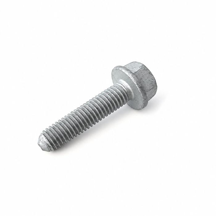 Originele zeskantbout (M8X35)